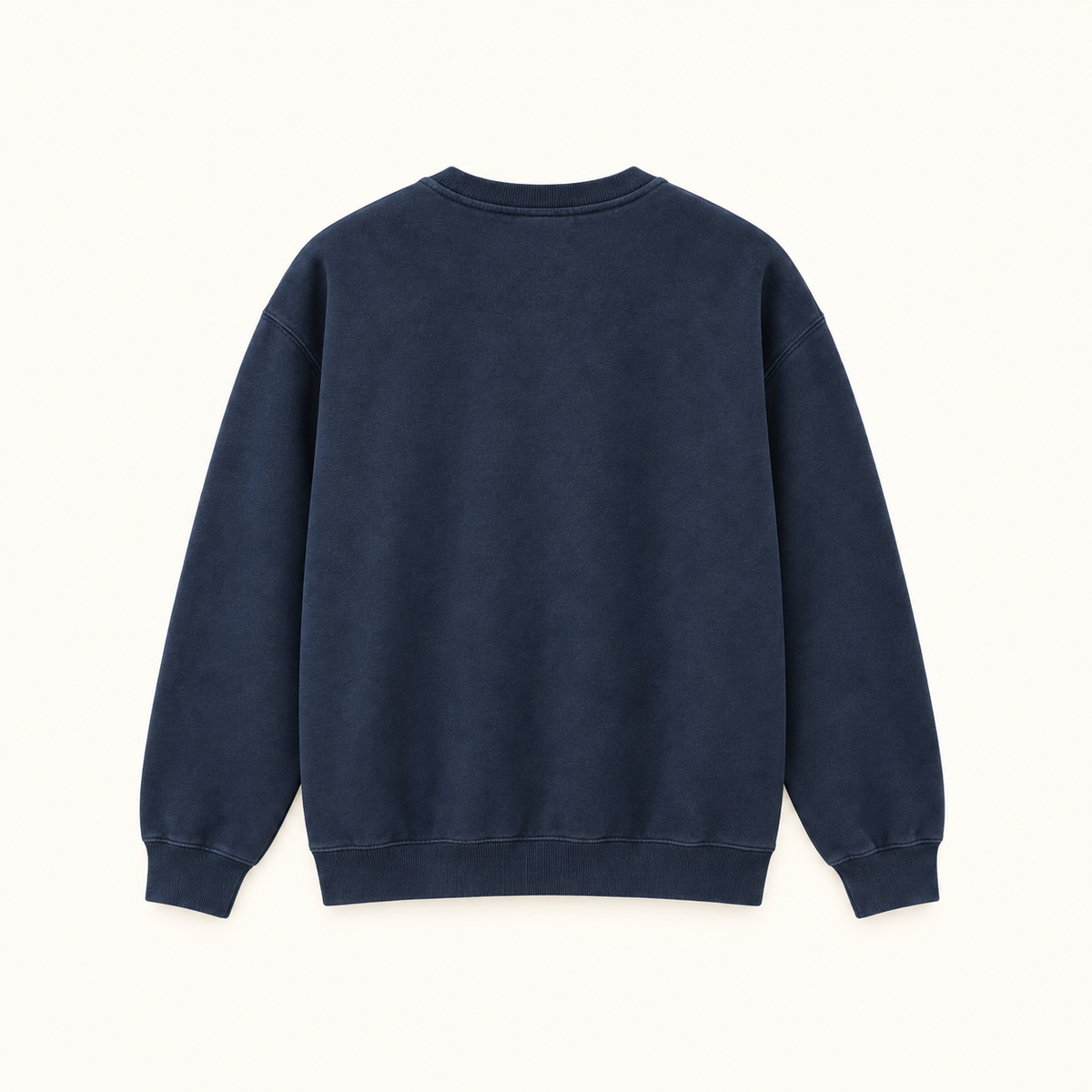 THE TIDE — Coastal Sweatshirt | Navy | Back