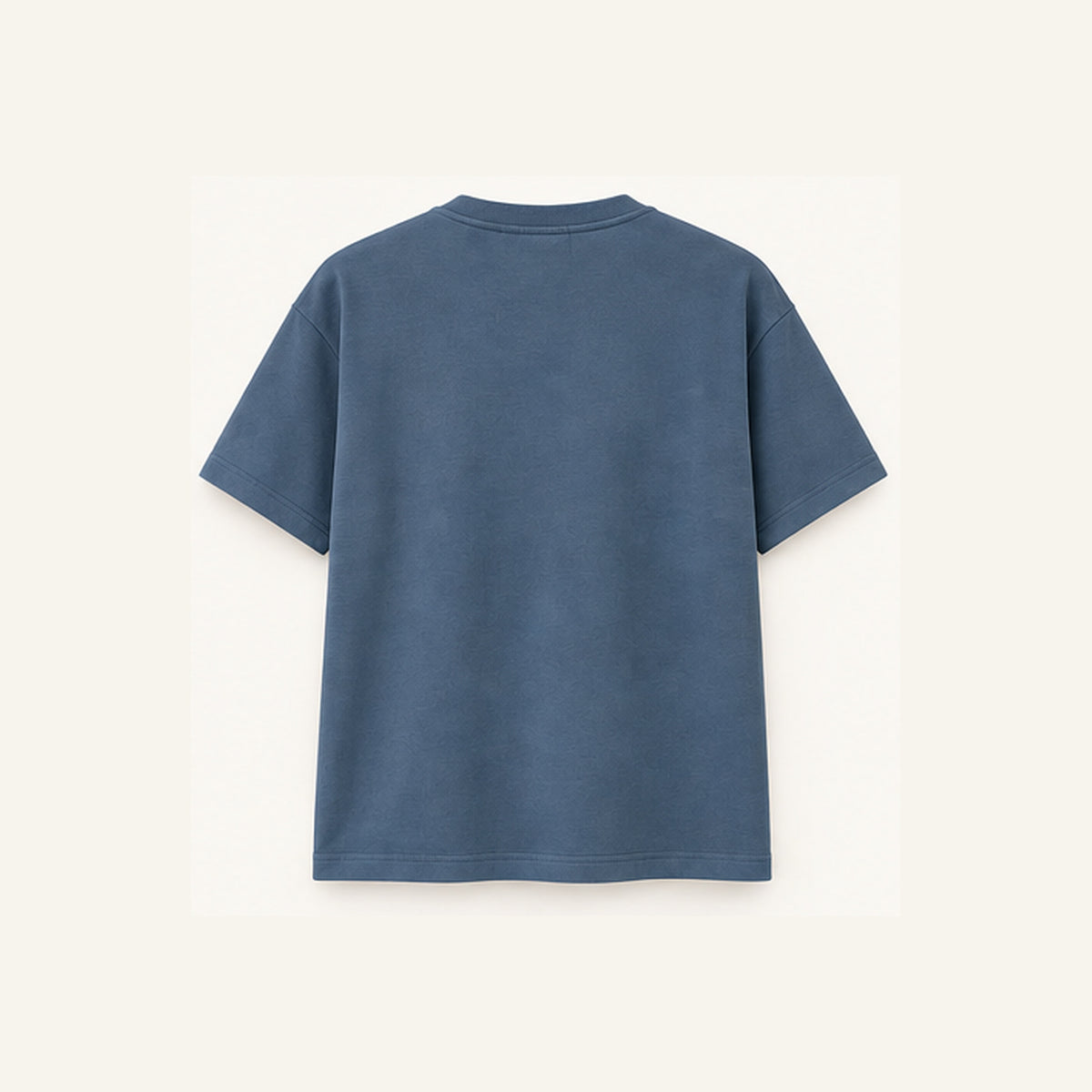 THE SHORE — Coastal T-Shirt | Coast Blue | Back